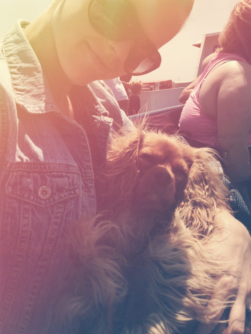 ^^This dog can sleep anywhere