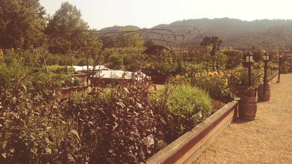 ^^they have the most wonderful edible garden in the back : ) fresh fresh fresh