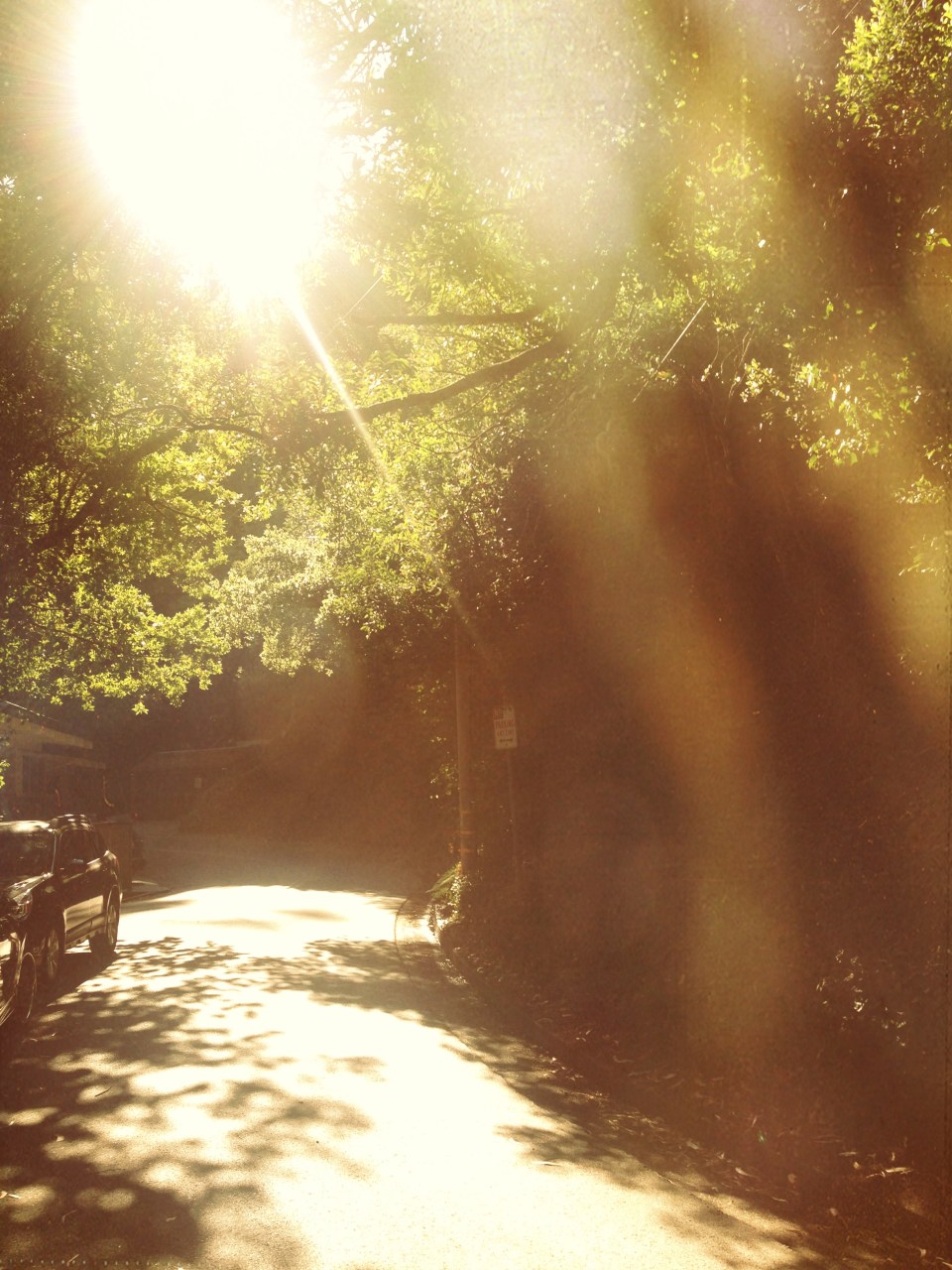 ^^the smell of childhood was here : )