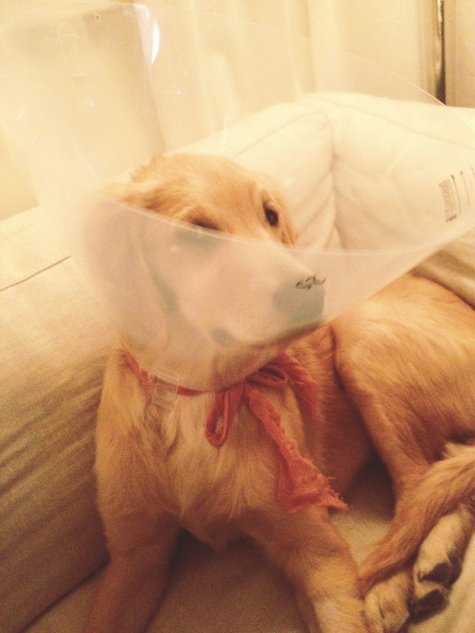 ^^who wouldn't want to kiss this goof