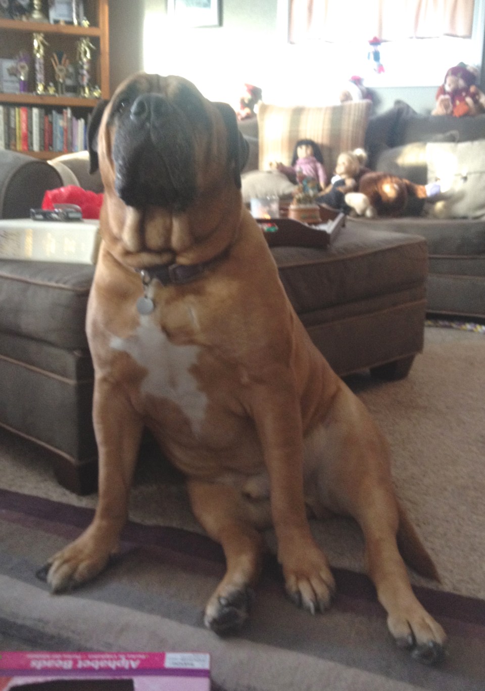 ^^sweetest gentle giant