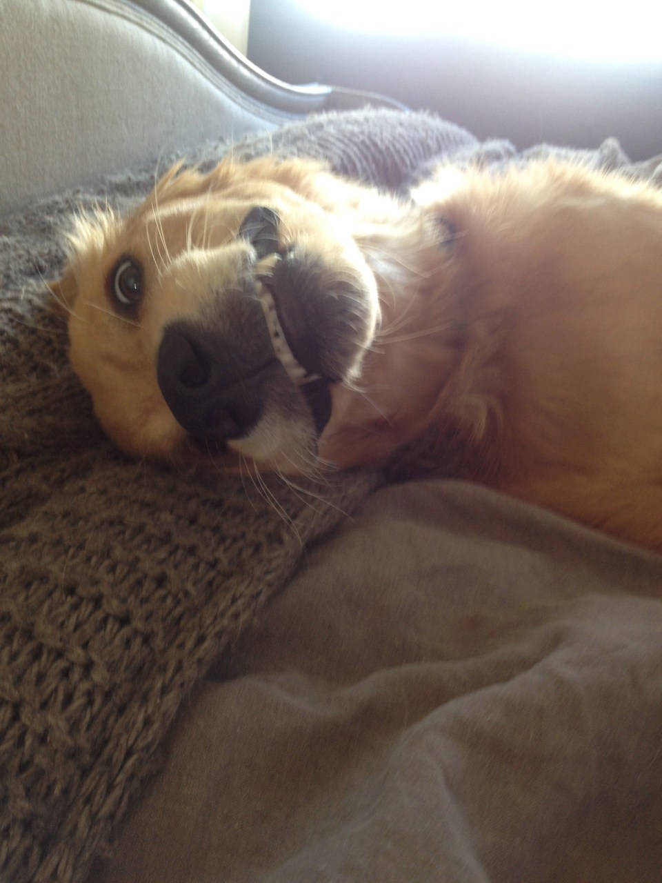 oh ya, say the word and he's all yours..