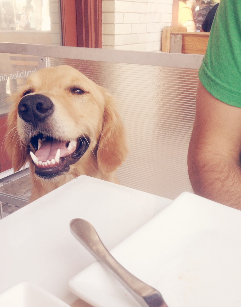 ^^ just look how happy