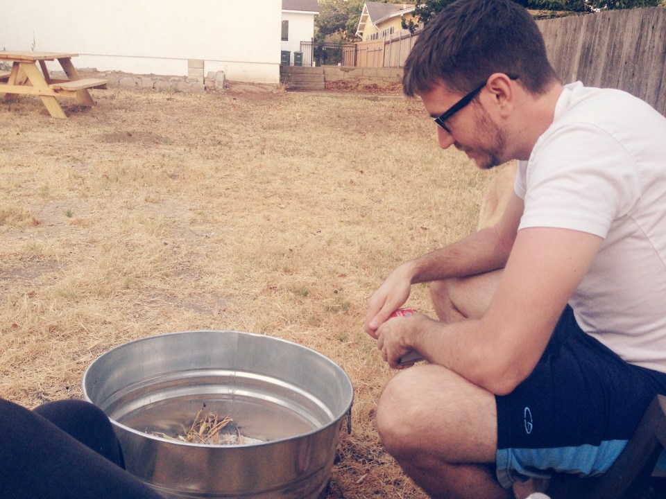 ^^please ignore the dry, highly flammable backyard