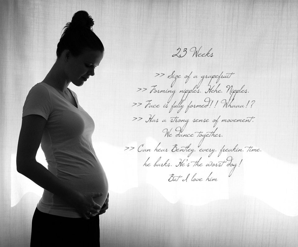 text - 23 weeks
