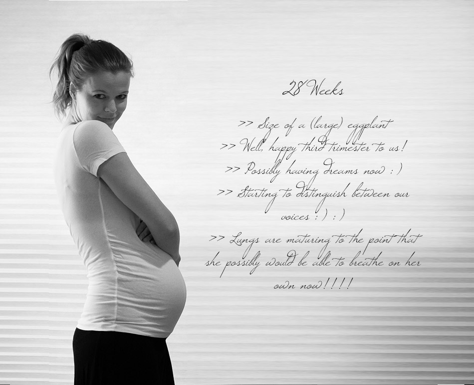 text - 28 weeks