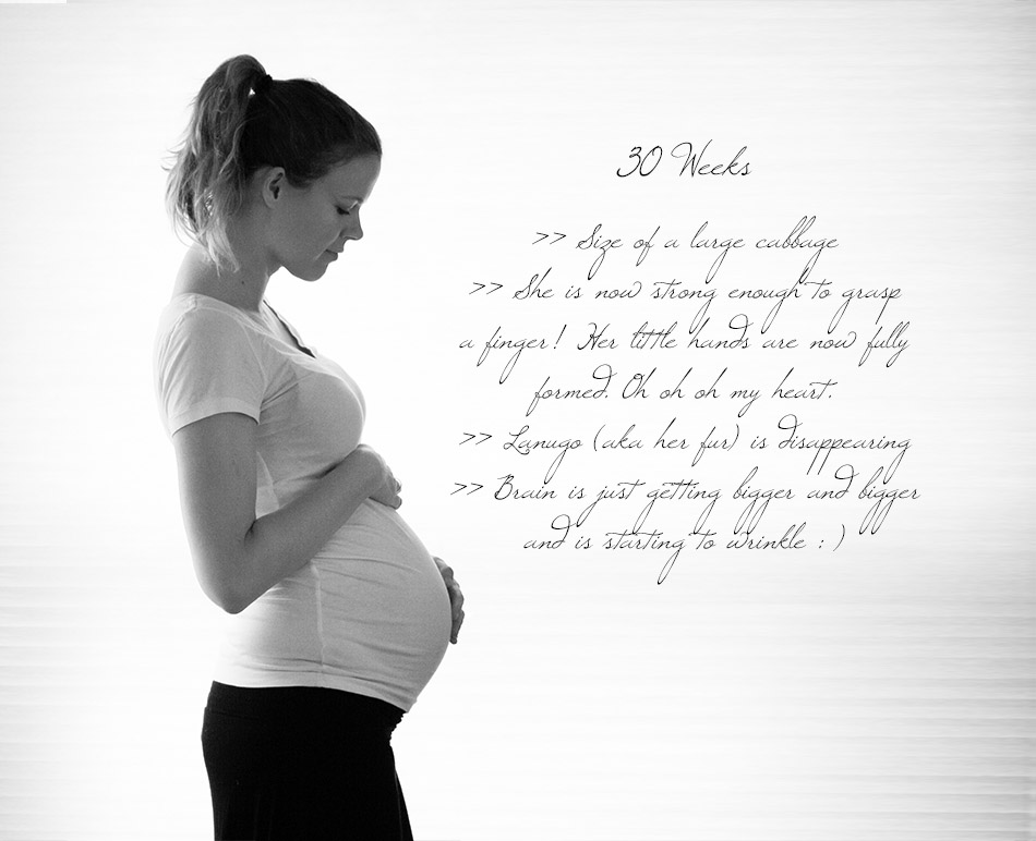 text - 30 weeks