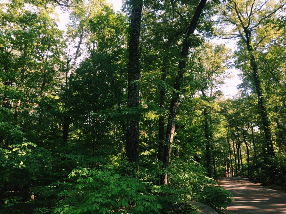 Processed with VSCOcam with c1 preset